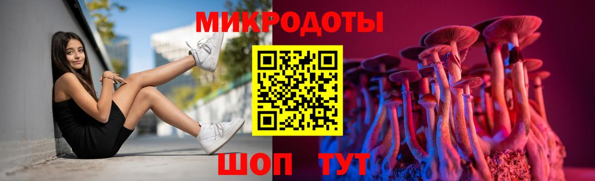 Псилоцибиновые грибы Psilocybe  Вход с VPN  Нальчик 